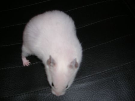 DSCN3873.JPG