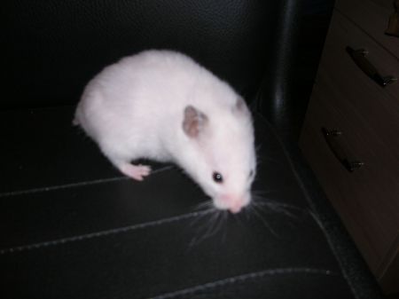 DSCN3874.JPG