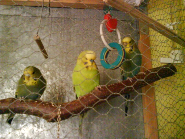 DSC00154.JPG
