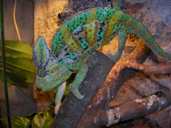 DSCN3832.JPG