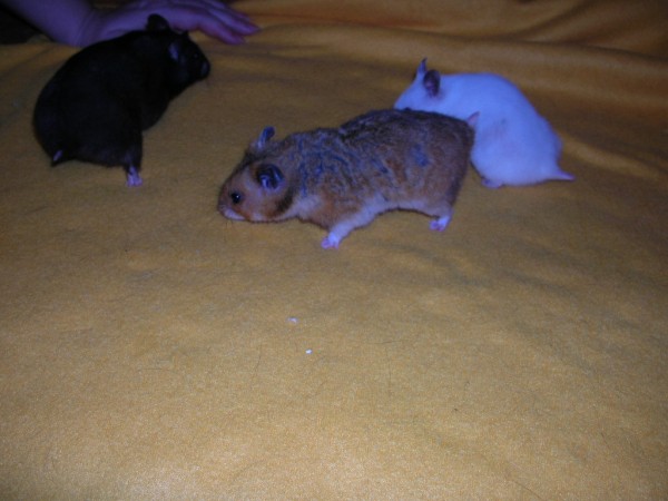 DSCN4080.JPG