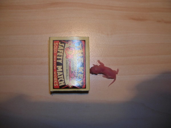 DSCN4159.JPG