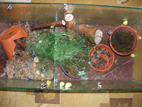 DSCN4283.JPG